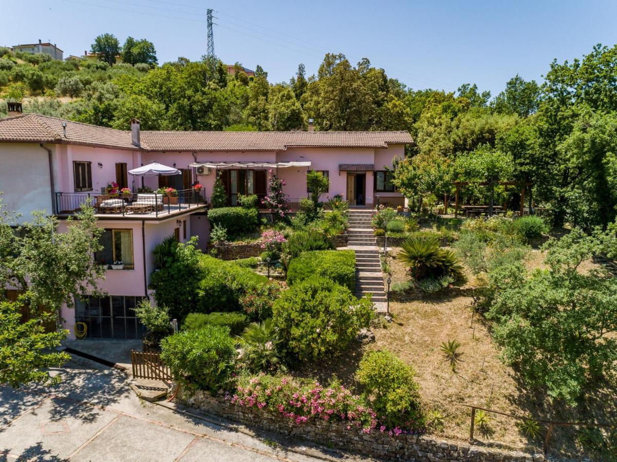 B&B Albachiara Casa Di Campagna Ogliastro Cilento Dış mekan fotoğraf
