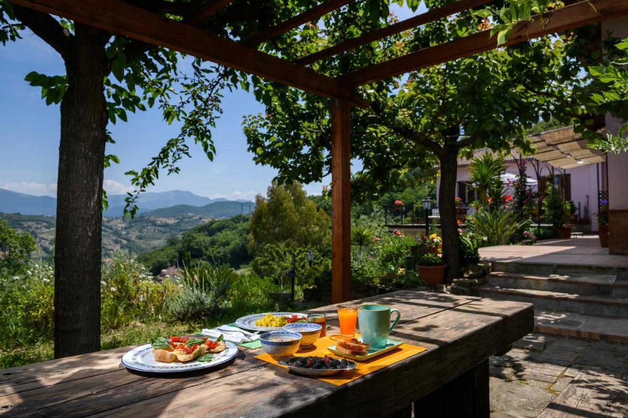 B&B Albachiara Casa Di Campagna Ogliastro Cilento Dış mekan fotoğraf