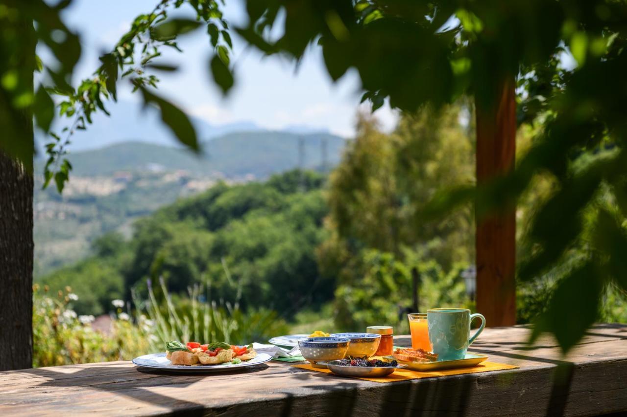 B&B Albachiara Casa Di Campagna Ogliastro Cilento Dış mekan fotoğraf