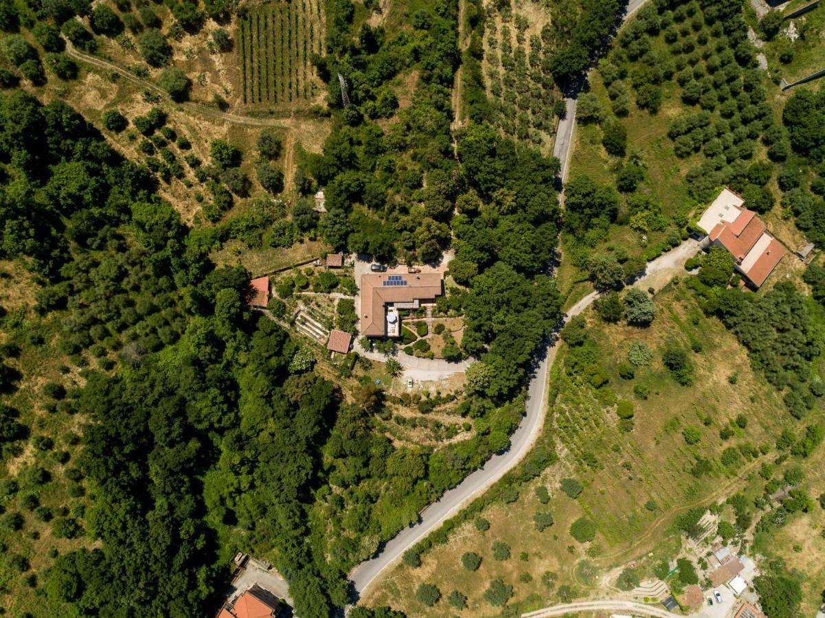 B&B Albachiara Casa Di Campagna Ogliastro Cilento Dış mekan fotoğraf