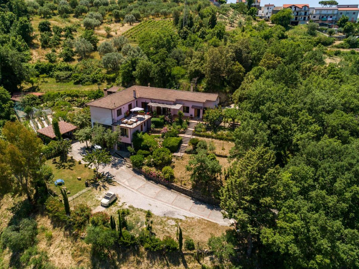 B&B Albachiara Casa Di Campagna Ogliastro Cilento Dış mekan fotoğraf