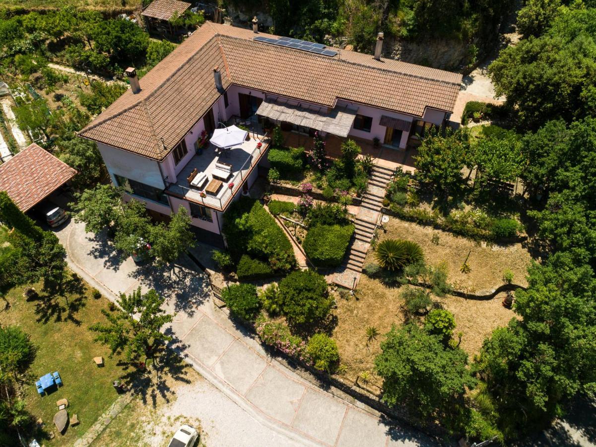 B&B Albachiara Casa Di Campagna Ogliastro Cilento Dış mekan fotoğraf