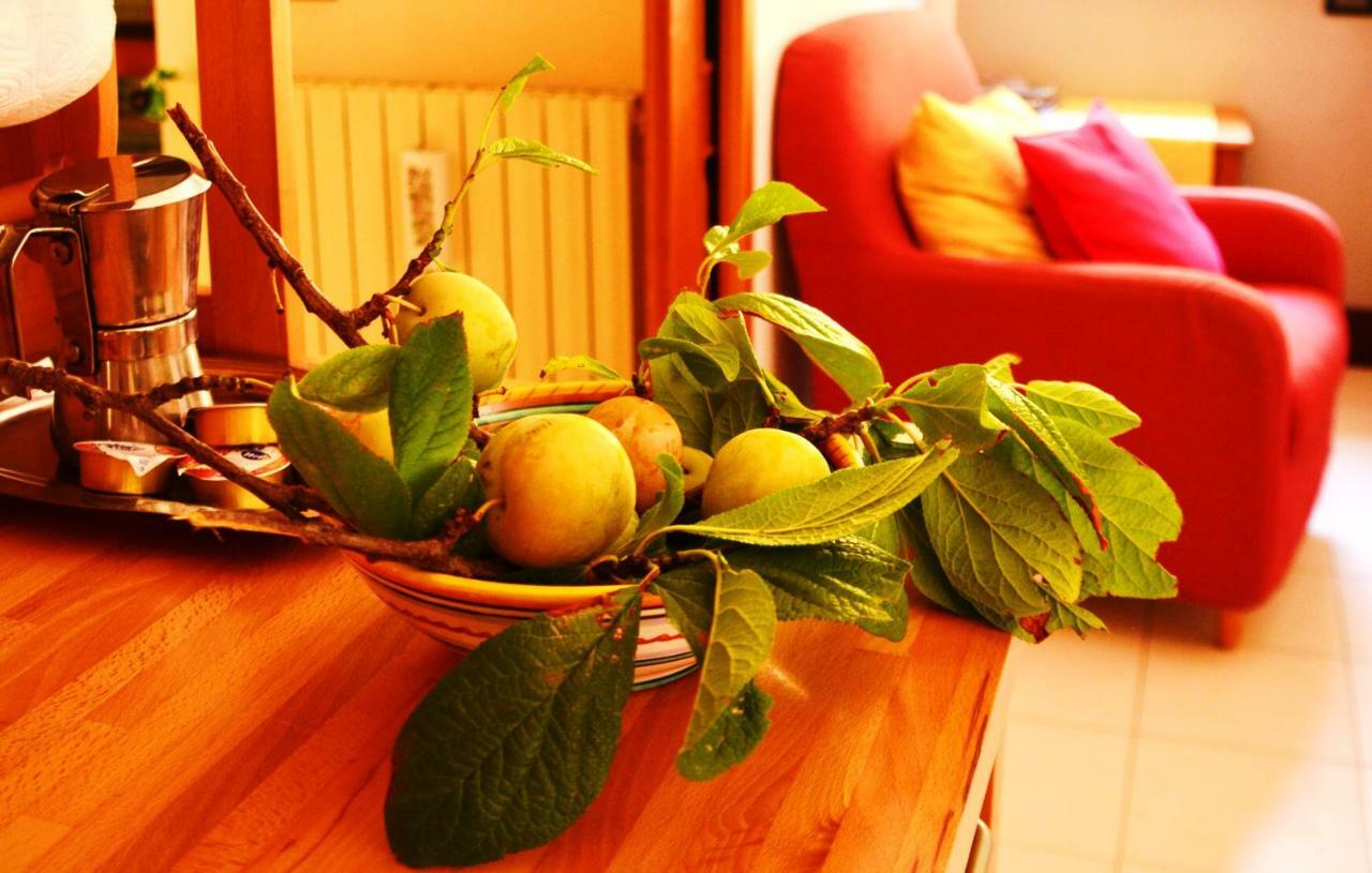 B&B Albachiara Casa Di Campagna Ogliastro Cilento Dış mekan fotoğraf