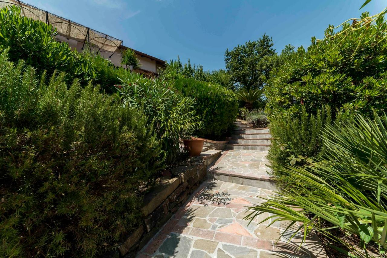 B&B Albachiara Casa Di Campagna Ogliastro Cilento Dış mekan fotoğraf