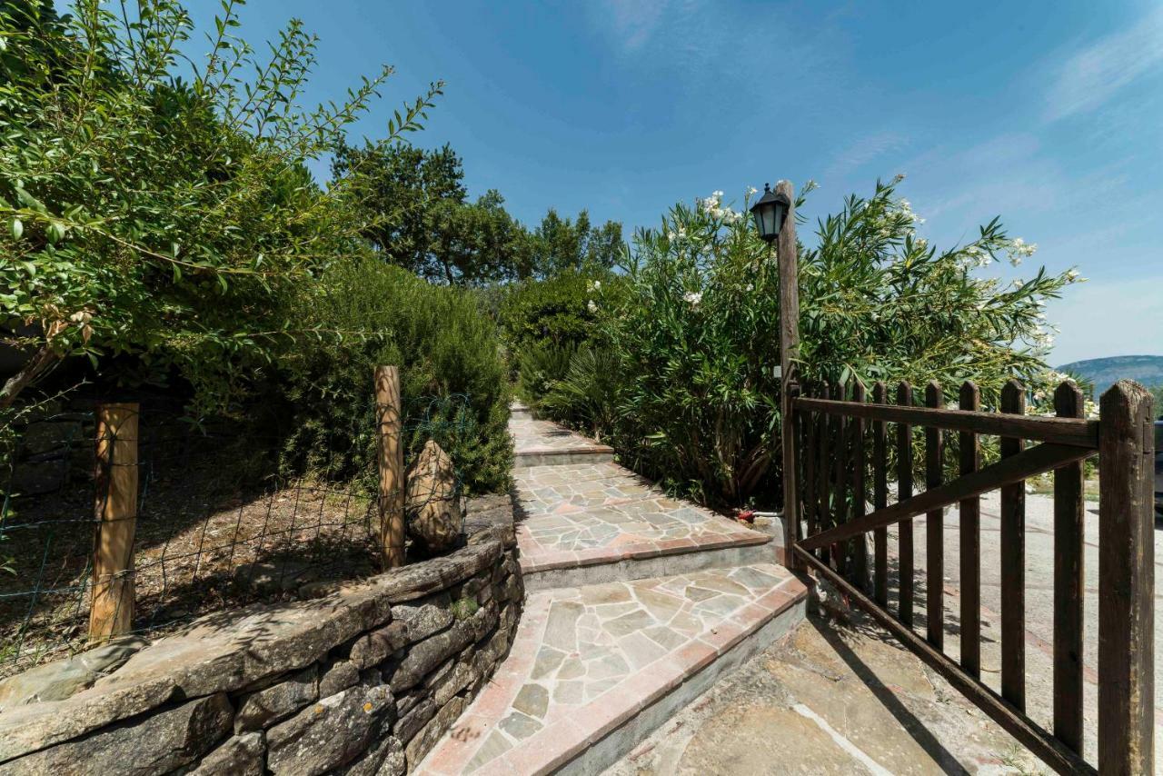 B&B Albachiara Casa Di Campagna Ogliastro Cilento Dış mekan fotoğraf