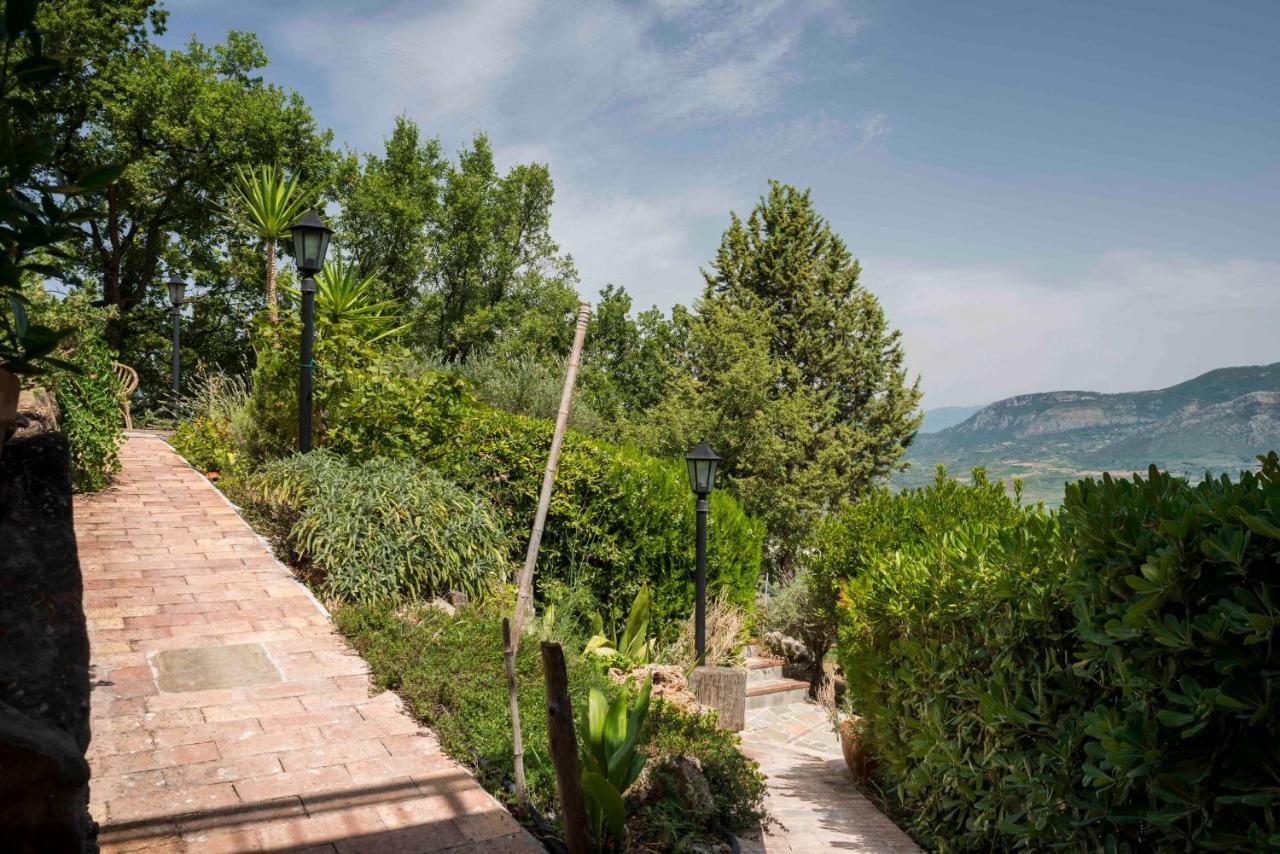 B&B Albachiara Casa Di Campagna Ogliastro Cilento Dış mekan fotoğraf
